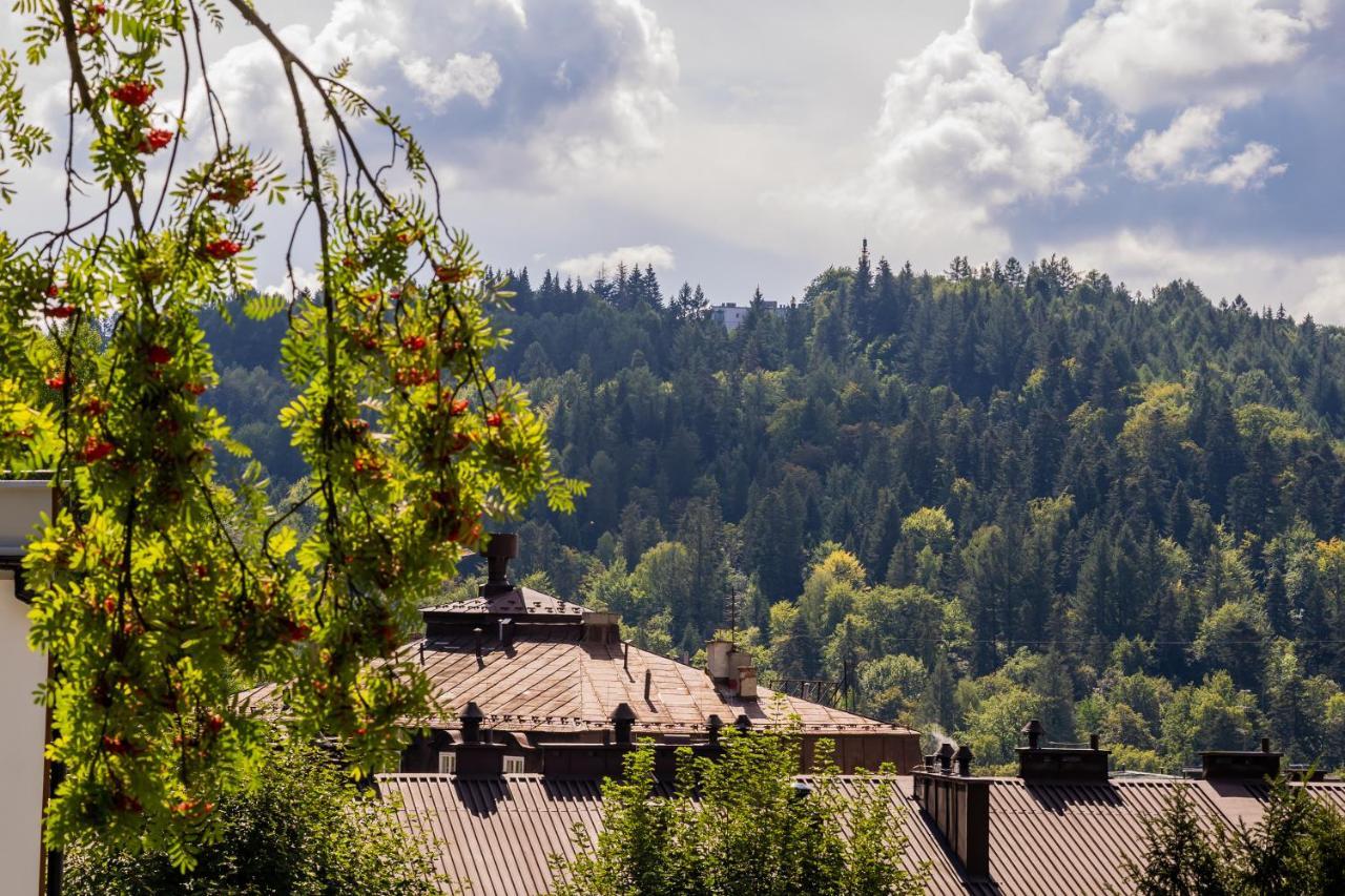 Apartamenty Lesne Zacisze Krynica-Zdrój Exterior foto